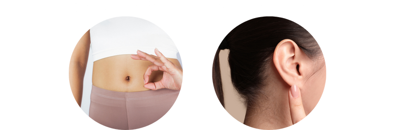 太るメカニズム：脂肪細胞の肥大化